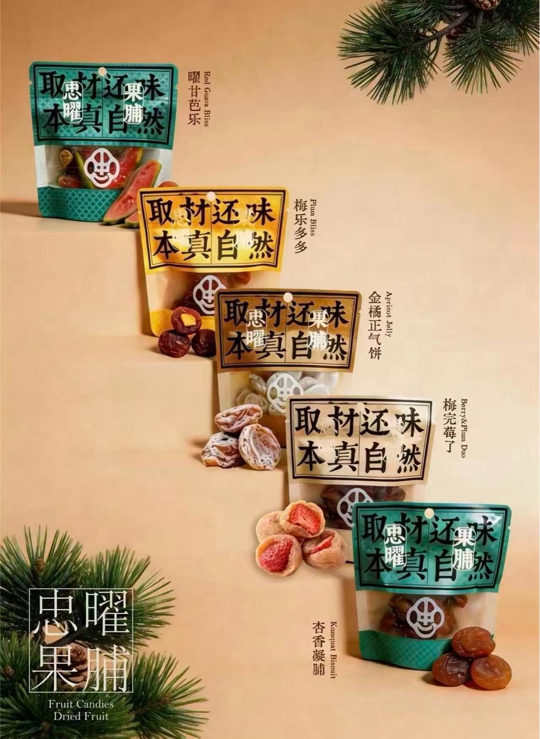 忠曜堂 果脯 dried fruit