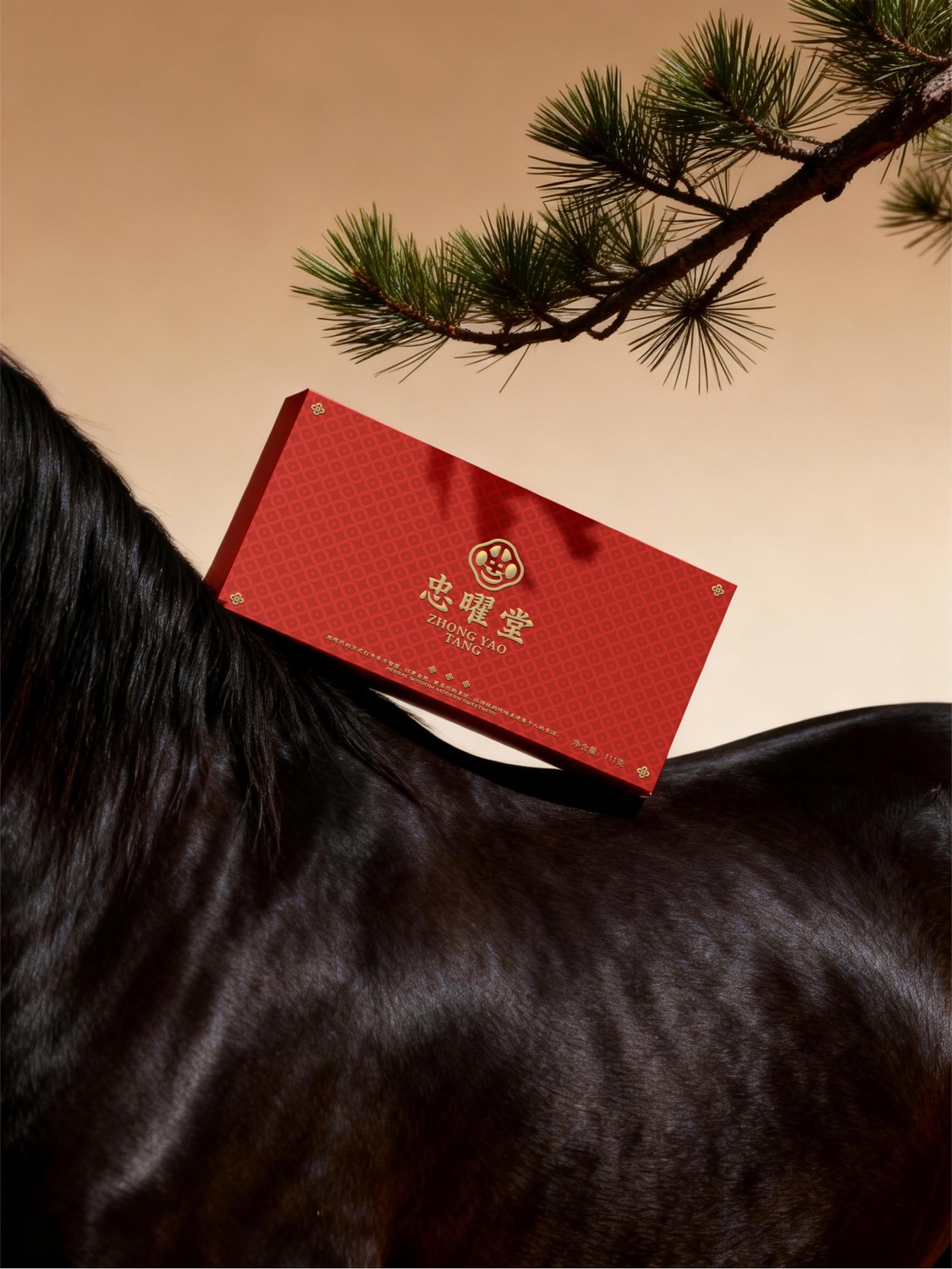 忠曜堂 礼盒 gift box